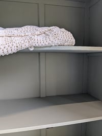 Image 3 of L'armoire parisienne smoky green 