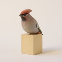 Image 1 of Waxwing