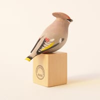 Image 2 of Waxwing