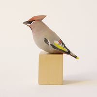Image 4 of Waxwing