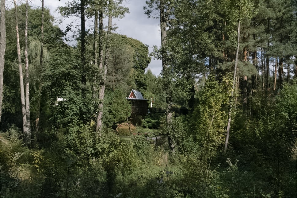 Image of House Hidden in a Greenwood (2015)