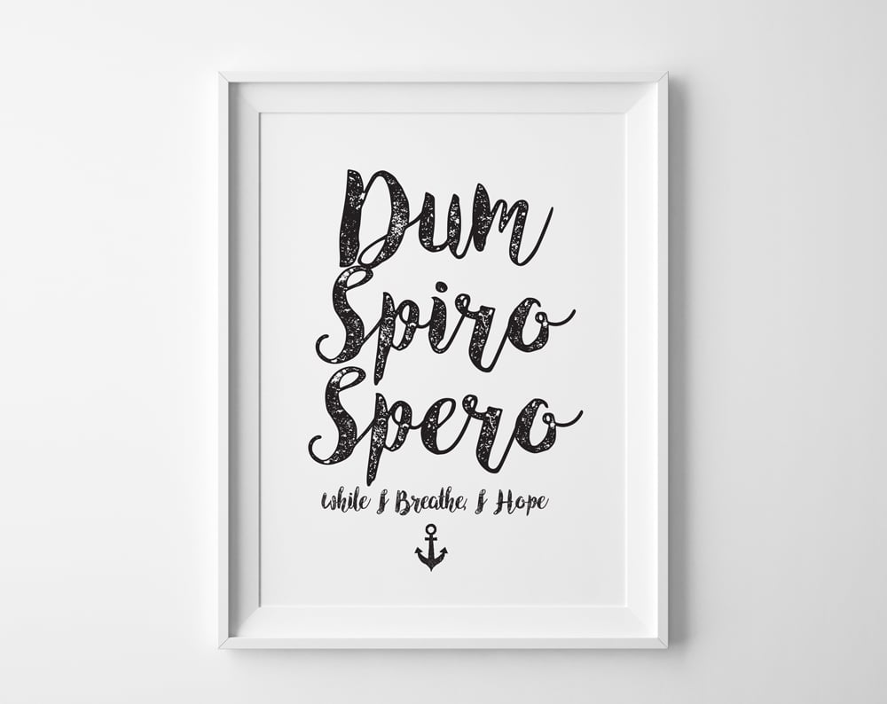 Dum Spiro Spero - Latin phrase meaning While I Breathe, I Hope Hardcover  Journal for Sale by Be-A-Warrior