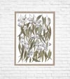 Eucalyptus caesia Fine Art Print