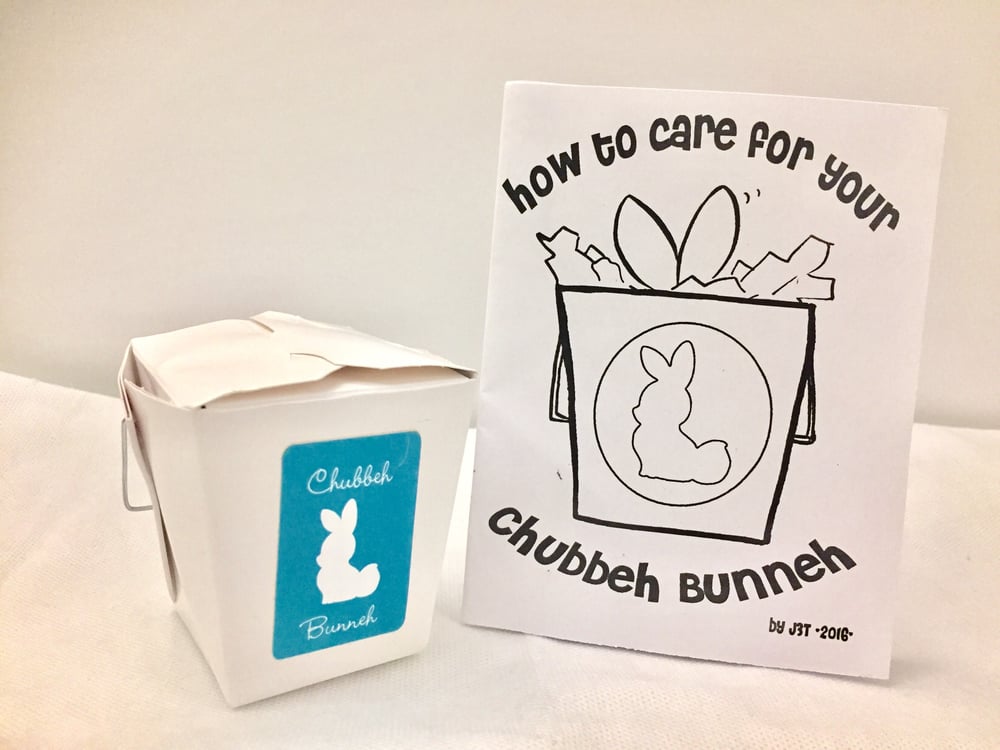 Chubbeh Bunnehs (BLIND BOX)