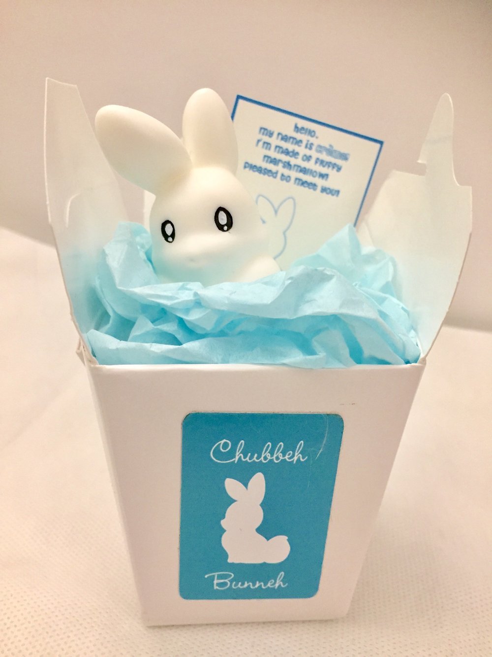 Chubbeh Bunnehs (BLIND BOX)