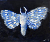 Blue moth