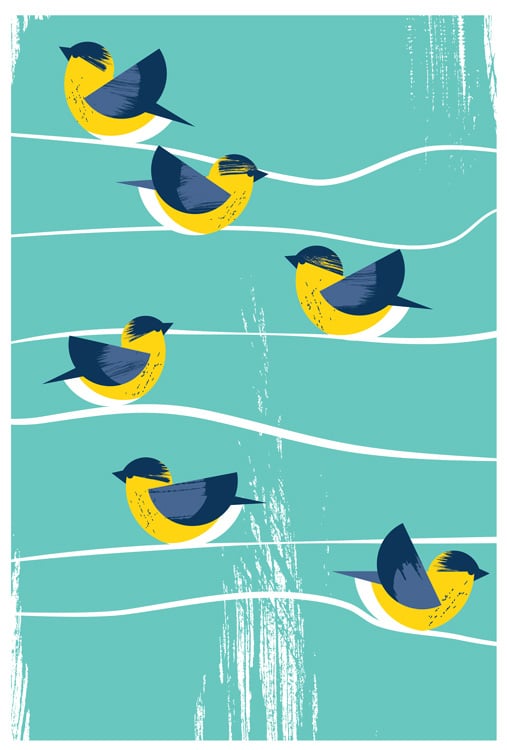 Image of Birds Of A Feather Canada Warbler Silkscreen Print - BirdSafe PGH