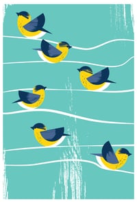 Image 1 of Birds Of A Feather Canada Warbler Silkscreen Print - BirdSafe PGH 