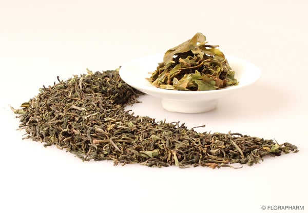 Image of Bio Darjeeling FTGOP1  First Flush Sourenee  ( DE-ÖKO-037 )