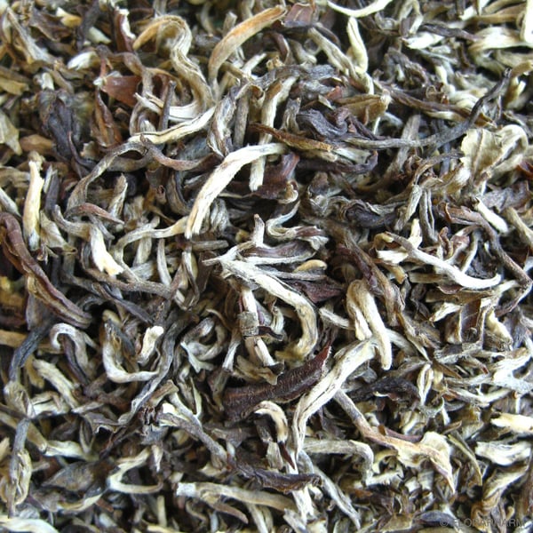 Image of Weißer Tee Guangxi White Buds