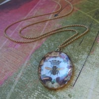 Image 1 of Honeybee Queen