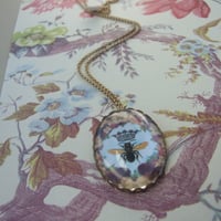 Image 3 of Honeybee Queen