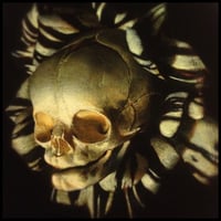 Image 1 of 'FOETAL SKULL OF NASCENCY' - Miniature Open Edition Print