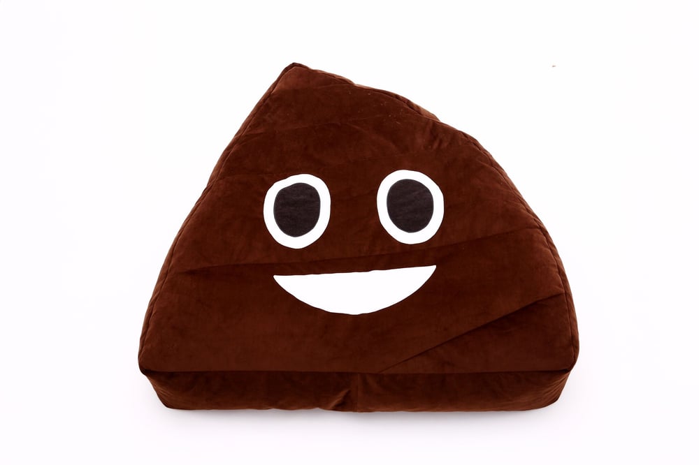 Image of THE POOP Beanbag