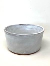 Image 3 of Tall Pet Bowl