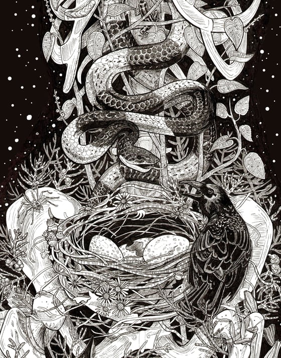 Image of "Chorea Ex Domina Mortem" Close-Up Print,