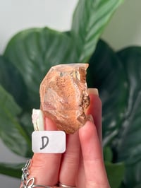 Image 6 of RUTILE X GARDEN QUARTZ FREEFORM GUSHERS -BRAZIL-