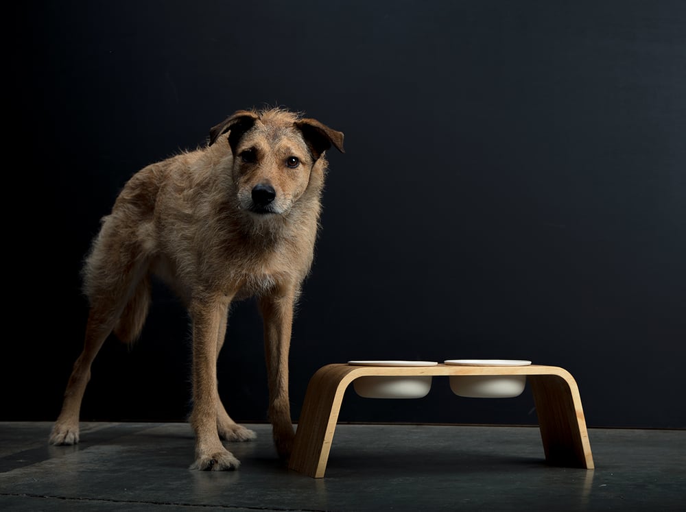 Image of Dog Bowl Stand Set: Double Tall