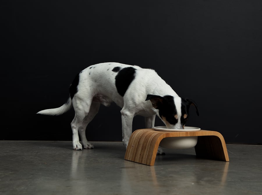 Image of Dog Bowl Stand Set: Single Short