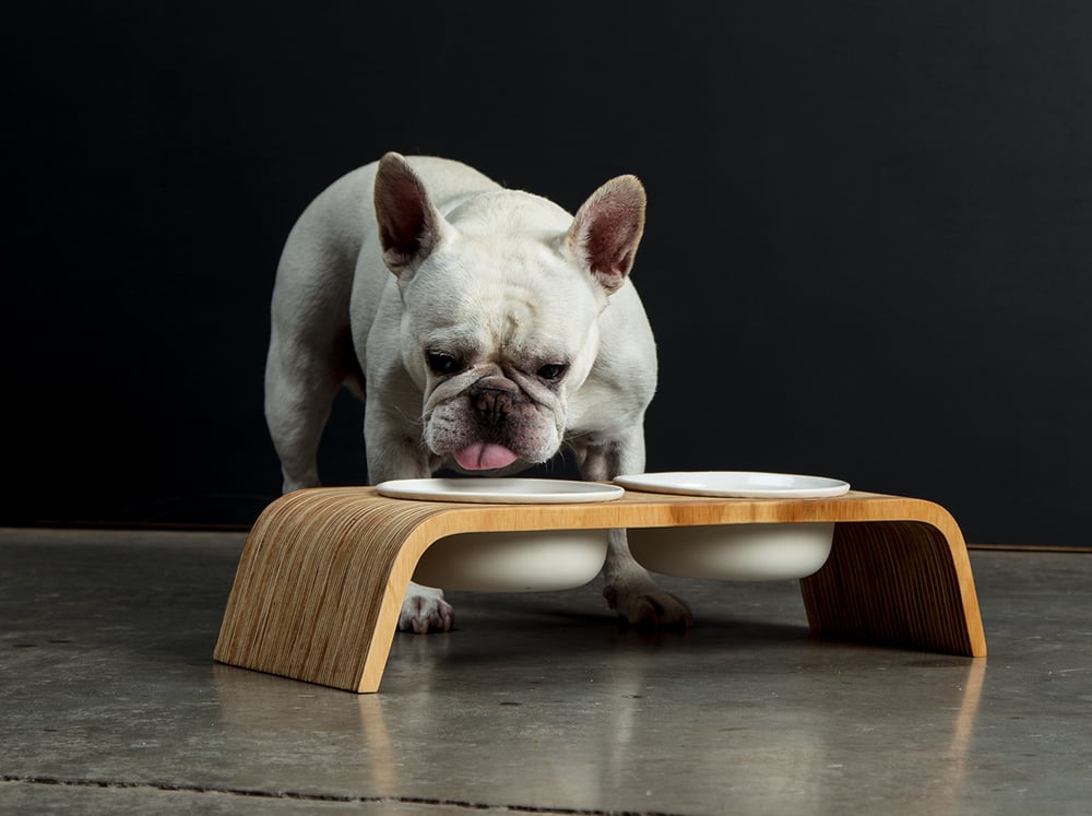 Image of Dog Bowl Stand Set: Double Short