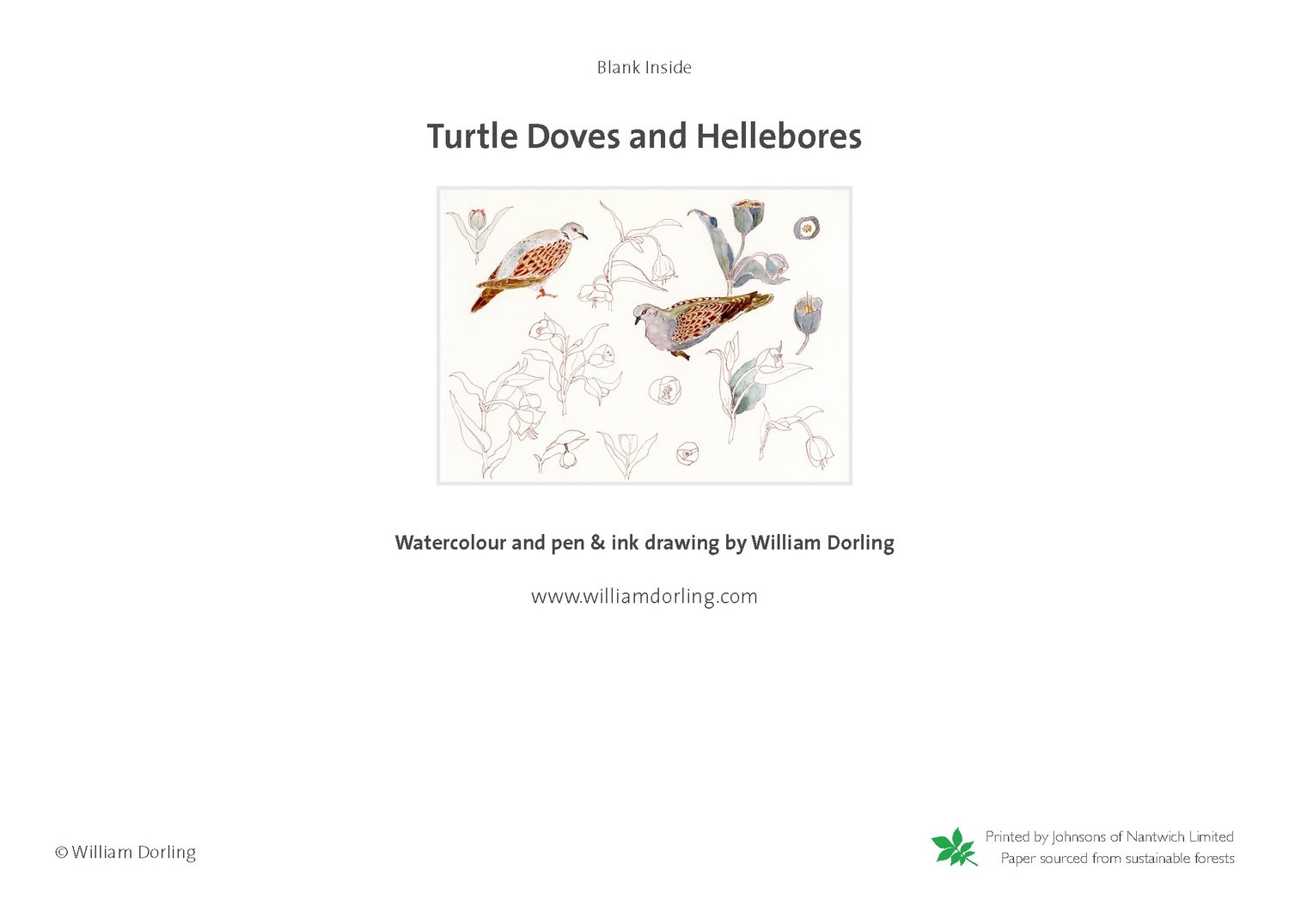 Image of Turtledoves and Hellebores