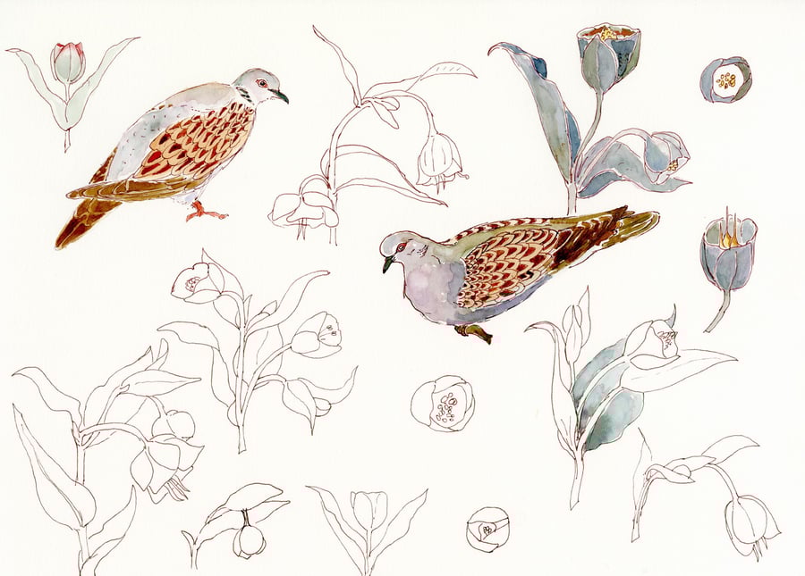 Image of Turtledoves and Hellebores