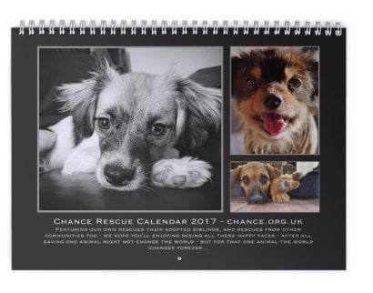 Image of Rescue Dog Calendar 2017