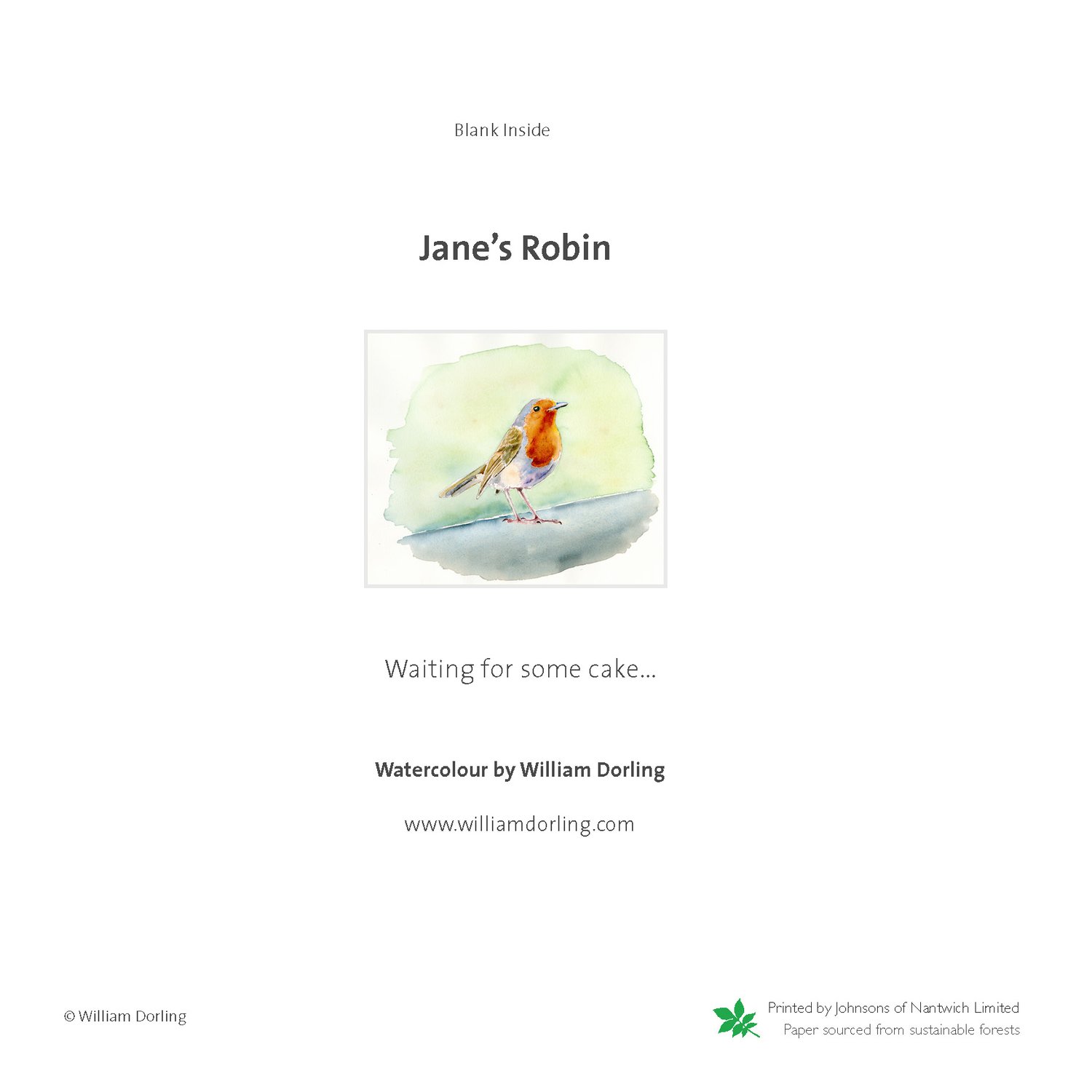 Image of Jane's Robin waiting for some cake