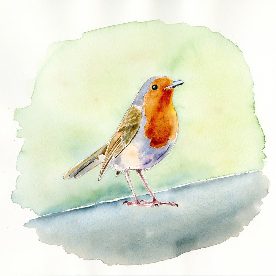 Image of Jane's Robin waiting for some cake