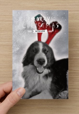 Image of Christmas Cards (10 pack - Folded design)