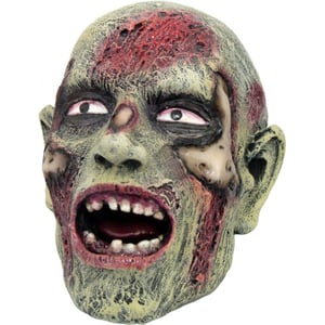 Image of Walking Dead Zombie Head Skull