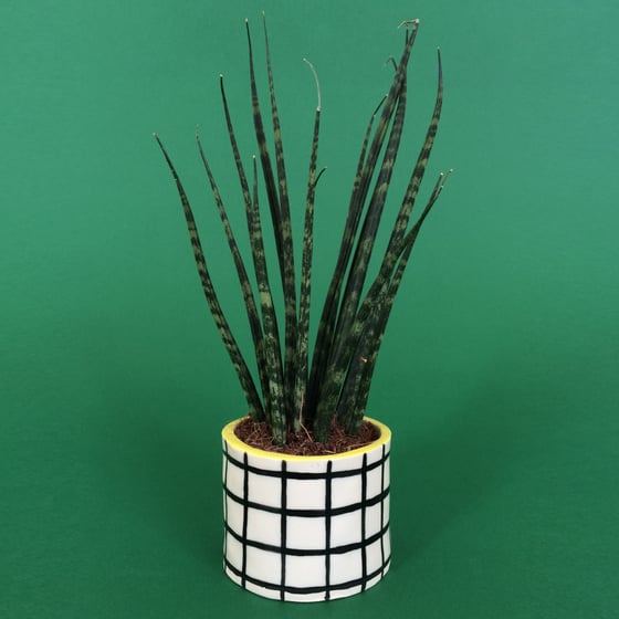Image of Tiny Grid Pot