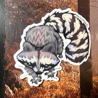 Rowdy Raccoon Sticker 
