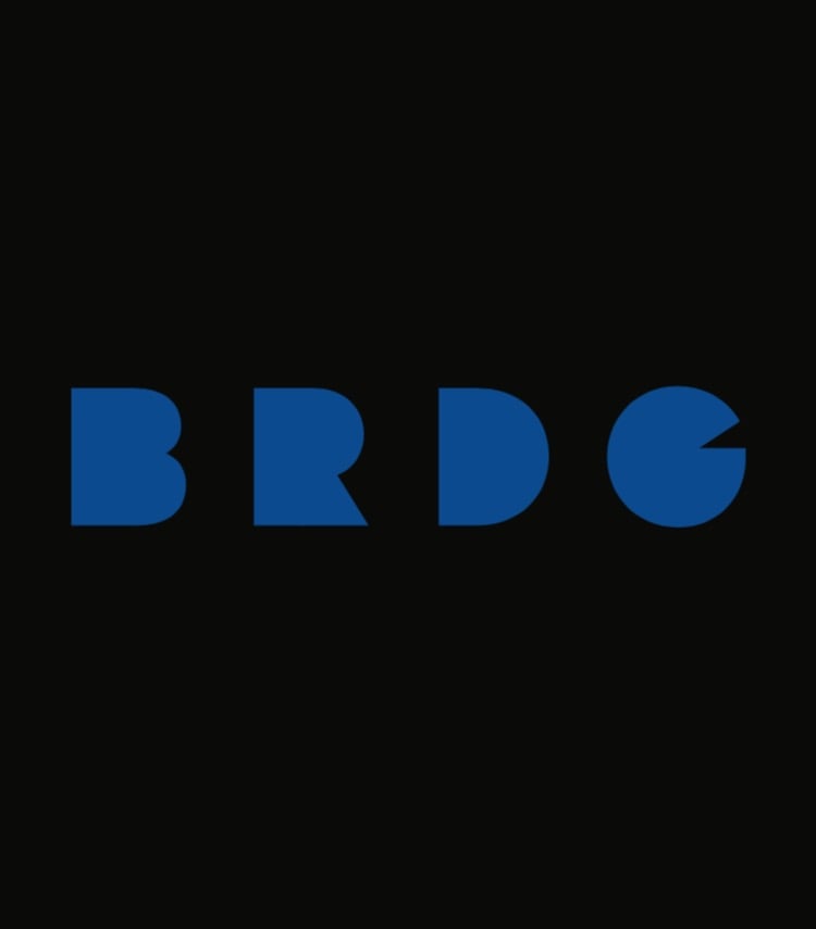 Image of BRDG 2016 Delivery