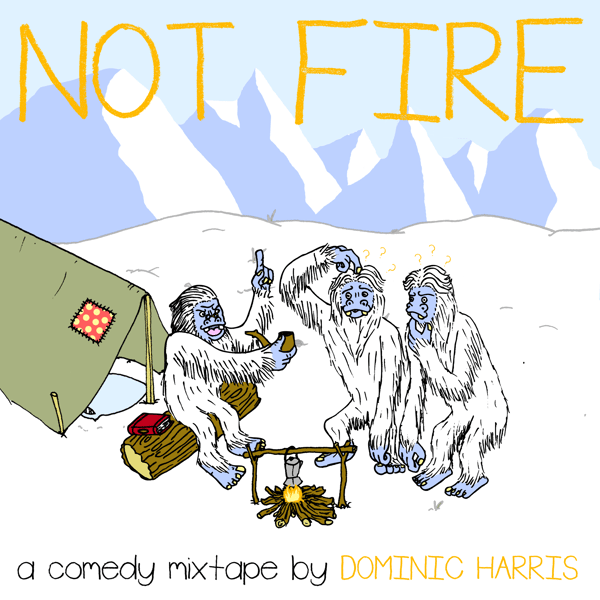 Image of NOT FIRE, THE MIXTAPE - DIGITAL DOWNLOAD
