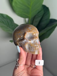 Image 9 of CHOOSE YOUR OWN PINK SEA JASPER SKULL -MADAGASCAR-