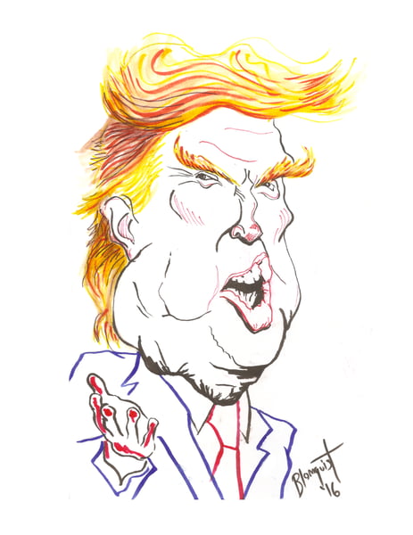 Image of The Donald