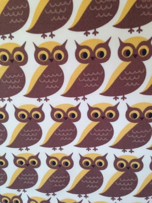 Image of 'Owls' Box Bag