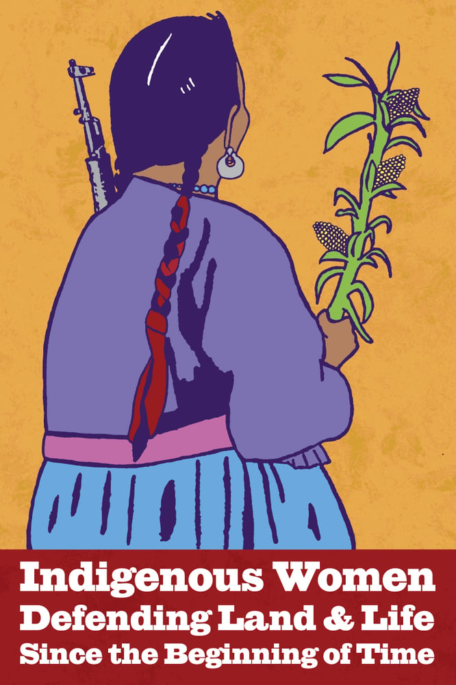 Image of Indigenous Women Defending Land and Life (Digital, 2016)