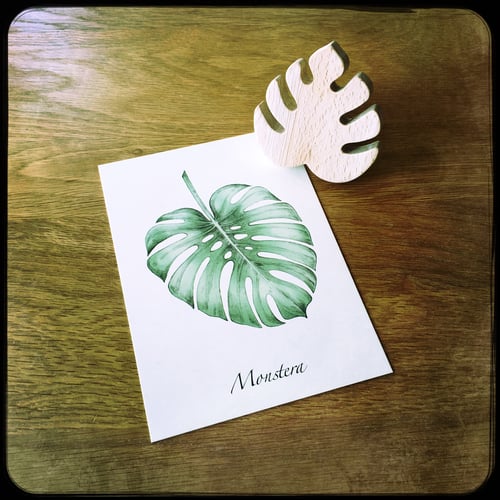 Image of Carte postale Monstera + enveloppe