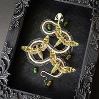Image 2 of Viper Skeleton With Oleander Hawkmoths