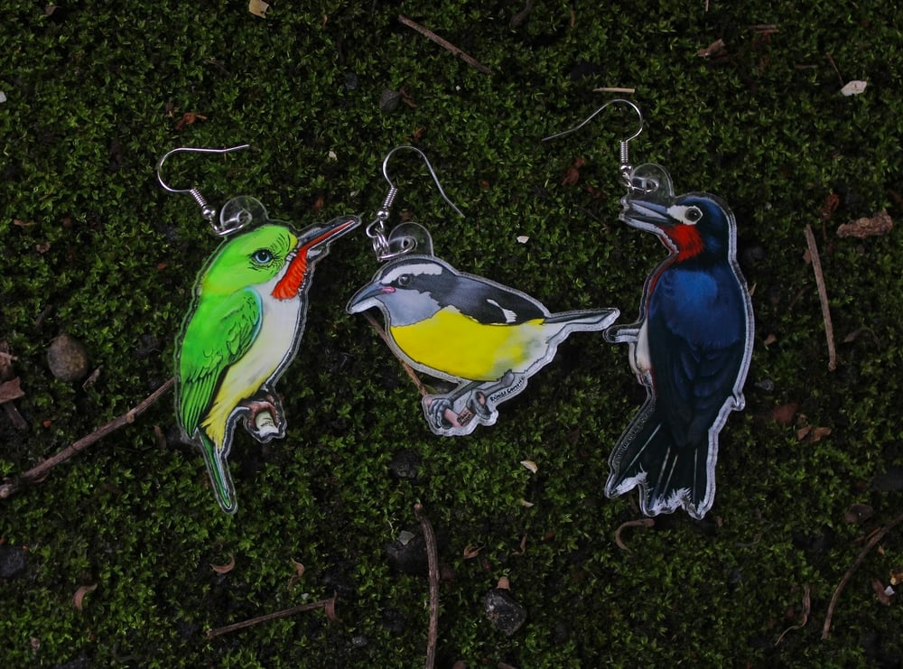 Birds of Puerto Rico • Acrylic Earrings • San Pedrito Earrings • Bananaquit Earrings 