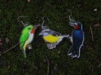 Image 3 of Birds of Puerto Rico • Acrylic Earrings • San Pedrito Earrings • Bananaquit Earrings 