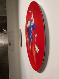 Image 3 of The execution of the dragonfly