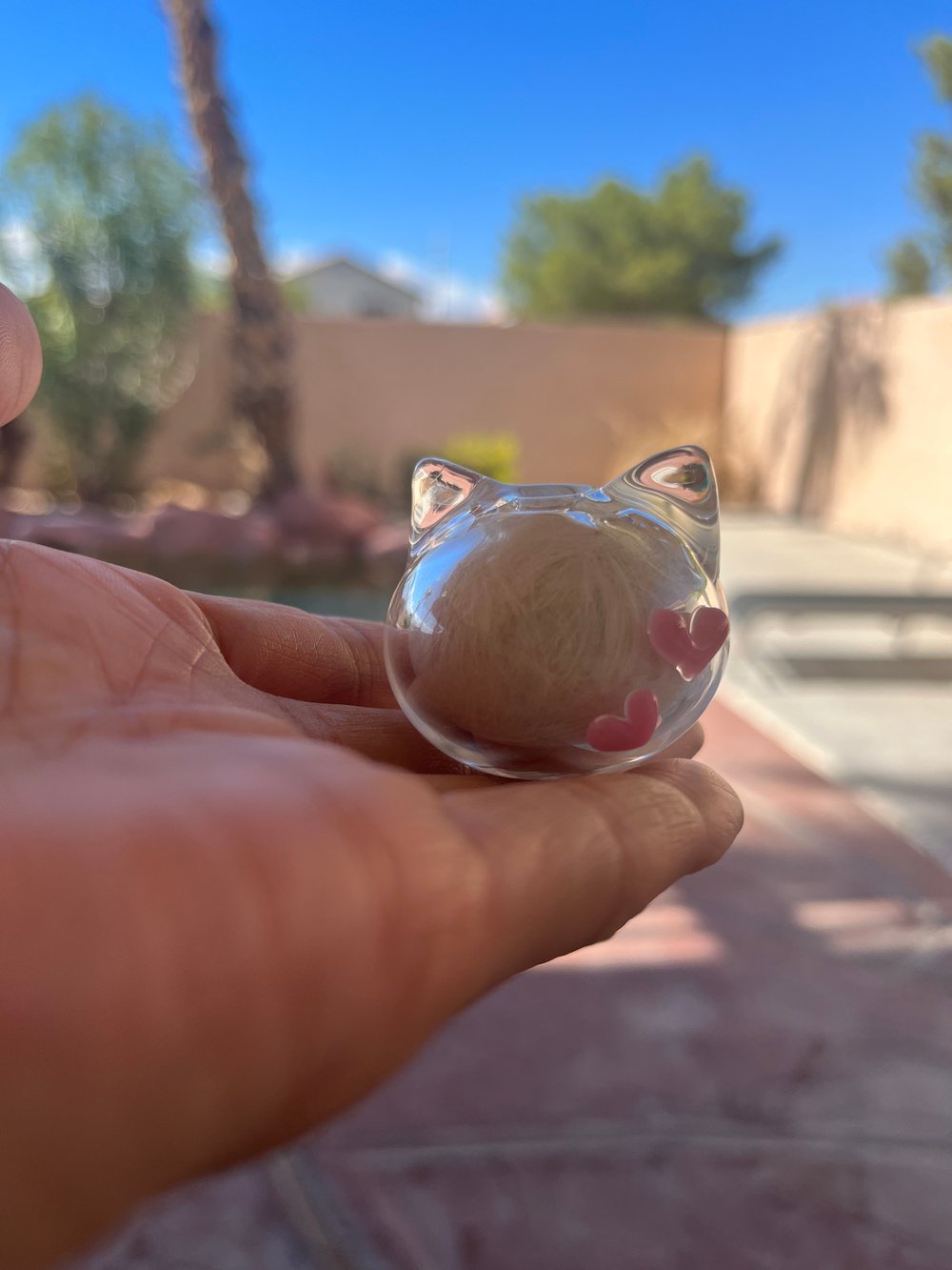 Image of Mini Neko bank 