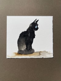 Image 2 of Inky - Kitty Cat Study