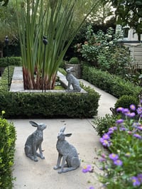 Image 4 of Entrance Garden Hare