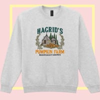 Image 1 of Hagrid's Pumpkin Farm House
