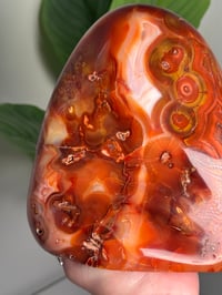Image 7 of XXL BANDED CARNELIAN FREEFORM -MADAGASCAR- 