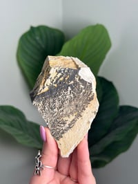 Image 1 of DENDRITIC FELDSPAR -ITALY- A